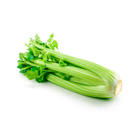 Imagen de Celery 700 Gr.