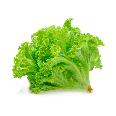 Imagen de Lechuga Criolla 500 Gr.