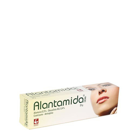 Imagen de Alantamida Pomada Emoliente Y Protectora 20G