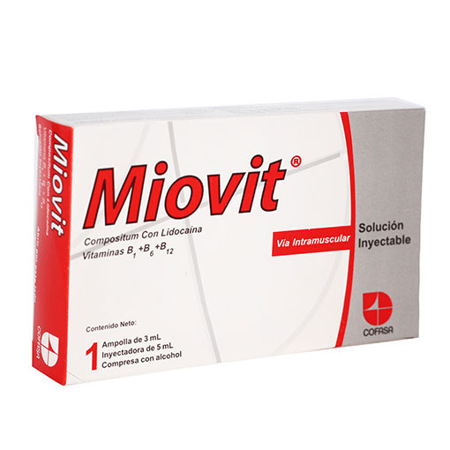 Imagen de Complejo B Miovit Kit Amp. 3Ml X1